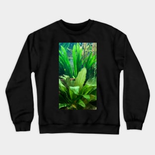 green leaves Crewneck Sweatshirt